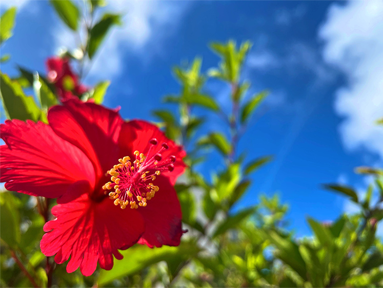40歳からのバランスケアって？